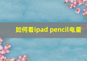 如何看ipad pencil电量